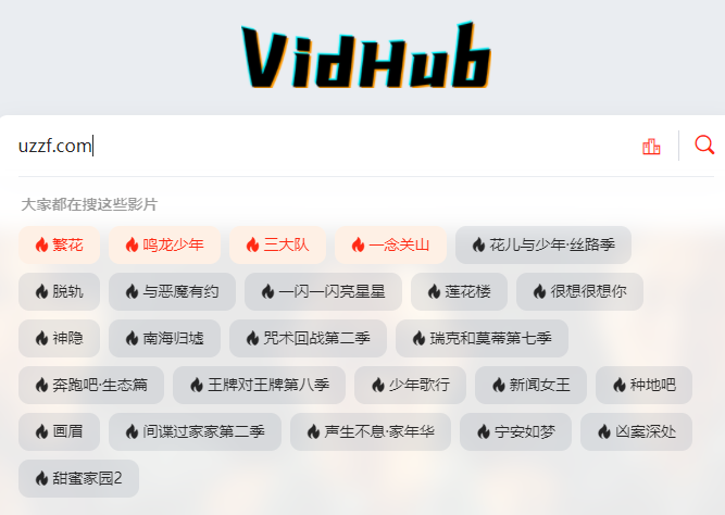 Vidhub视频库软件