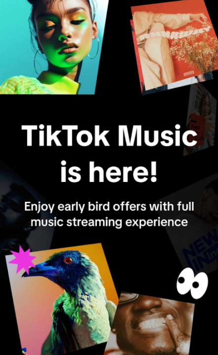 tiktok music׿