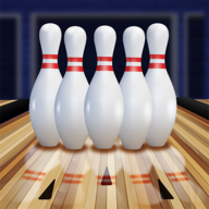 ֲϷ(Bowling Club)1.1.13 ֻ
