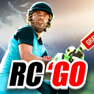 ʵgo(Real Cricket GO)0.2.4 ׿