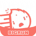 bigrun2.5.6 ׿