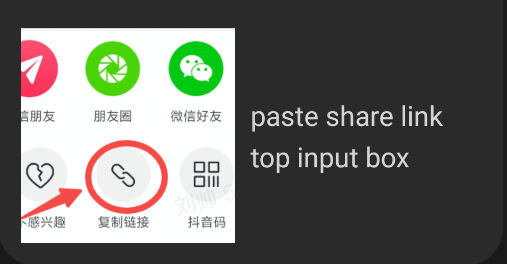 DouYin Downloader