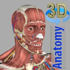 3D Anatomyi߼6.8 M