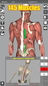 3D Anatomyi߼؈D