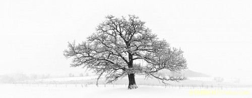 雪景拍摄技巧全攻略
