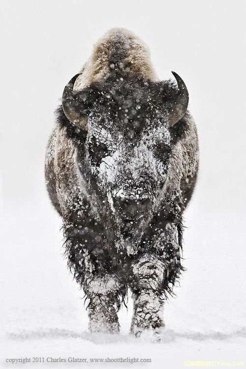 雪景拍摄技巧全攻略