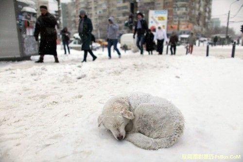 雪景拍摄技巧全攻略