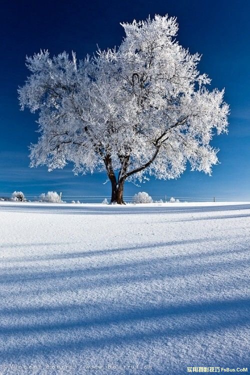 雪景拍摄技巧全攻略