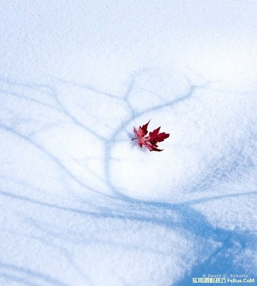 雪景拍摄技巧全攻略
