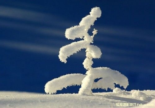 雪景拍摄技巧全攻略