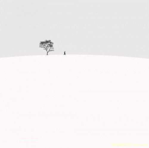 雪景拍摄技巧全攻略