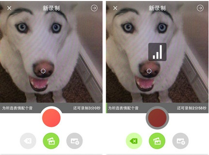 快照2.png