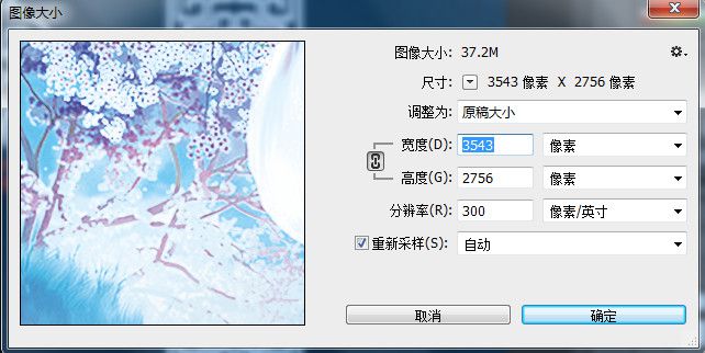 快照3.jpg