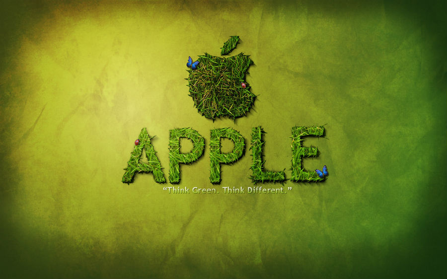 APPLE_081004.jpg