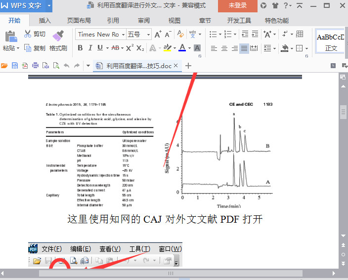 快照132.jpg
