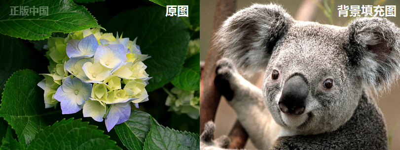 处理素材