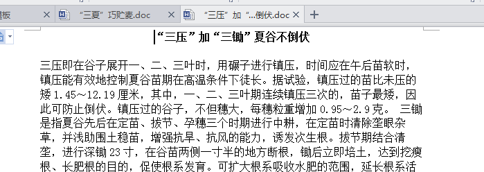 快照47.png