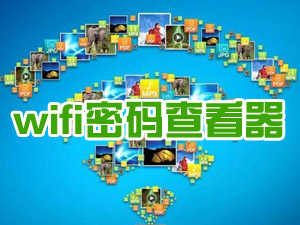 wifi密码查看器