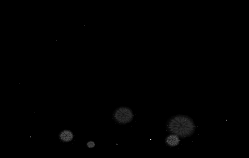 风尚论坛老师专用特效图片 (1).gif