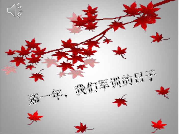快照1.png