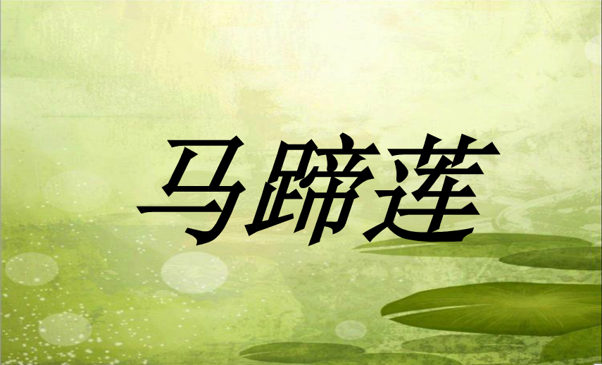 快照2.png