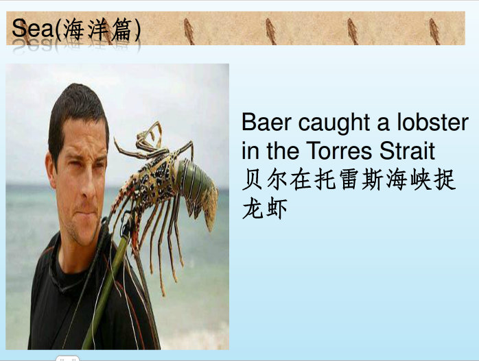 快照5.png