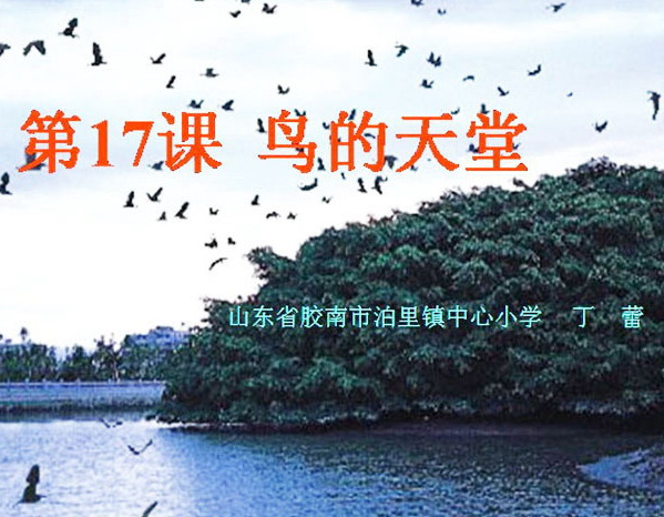 快照10.jpg