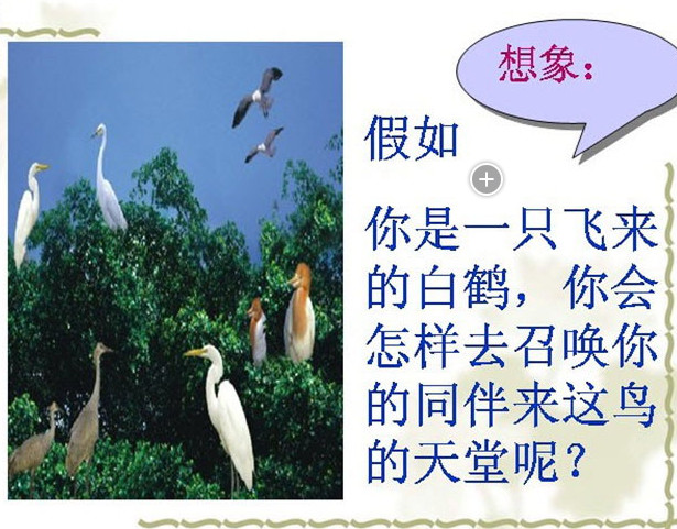 快照9.jpg