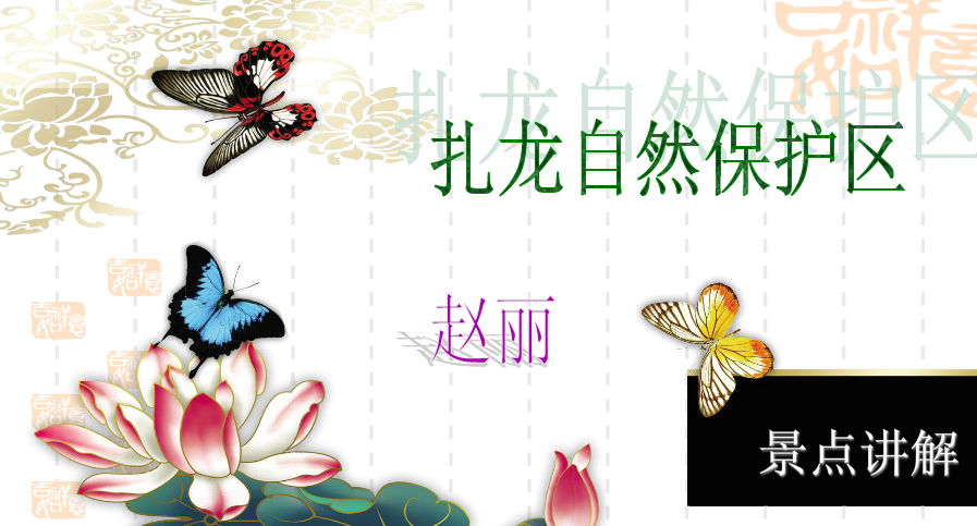 快照4.png