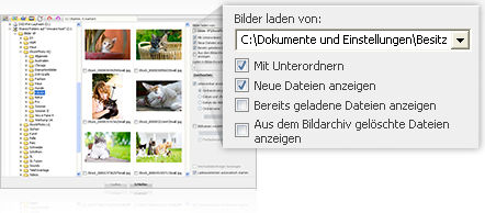grafik_featu_2.jpg