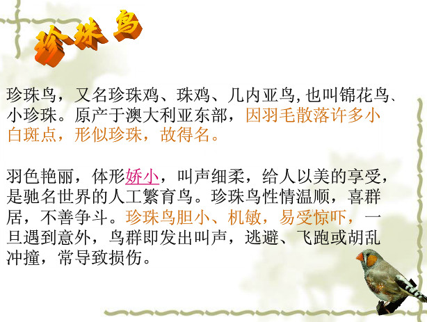 快照22.jpg