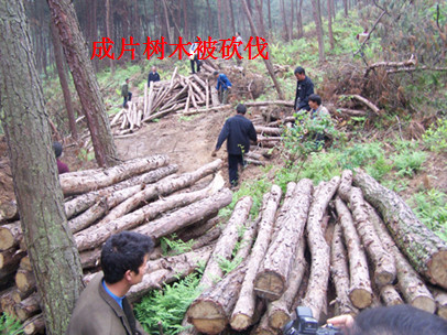 快照127.jpg