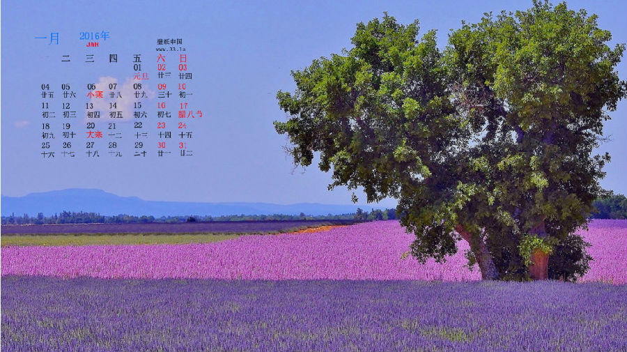 快照63.jpg