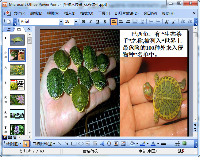 快照43.jpg