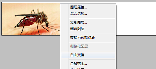 3c6d55fbb2fb4316be9a10c925a4462308f7d3f8.jpg