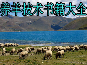 养羊技术书籍大全