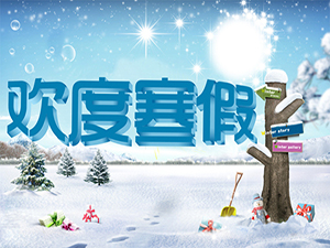 2016小学生寒假作业答案大全