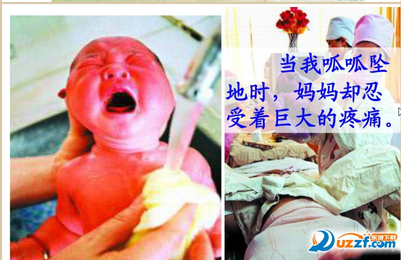 快照45.jpg