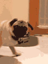 u=2145731655,3310985592&fm=21&gp=0 (1).gif