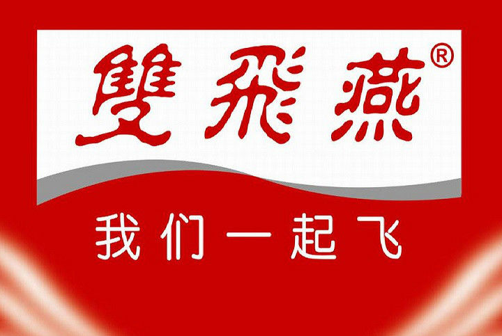 双飞燕驱动
