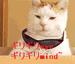68d26ef082025aaf2857c34cfcedab64024f1a15.gif