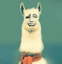 u=2314317293,1067228763&fm=21&gp=0.jpg