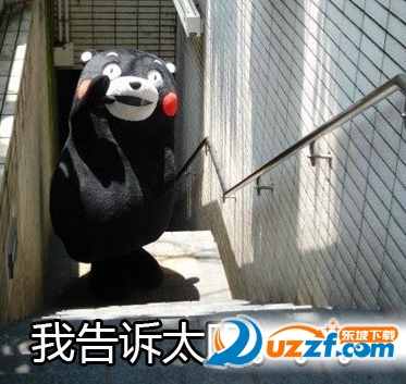快照91.png