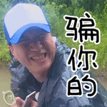41-150I01GR1-51.gif