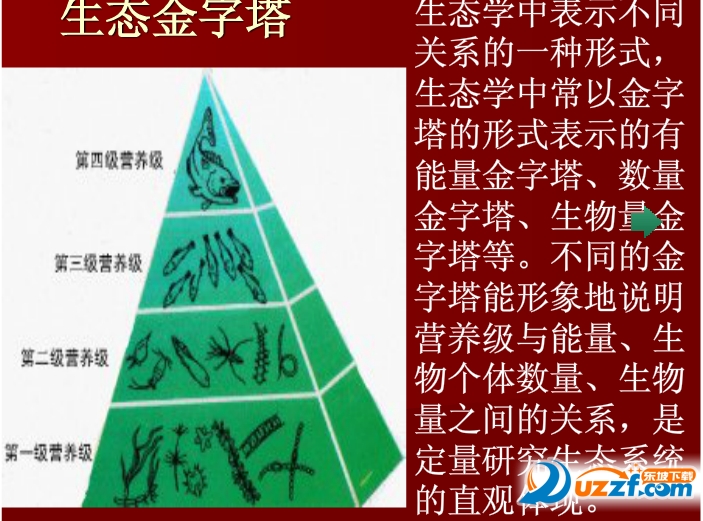 快照5.png