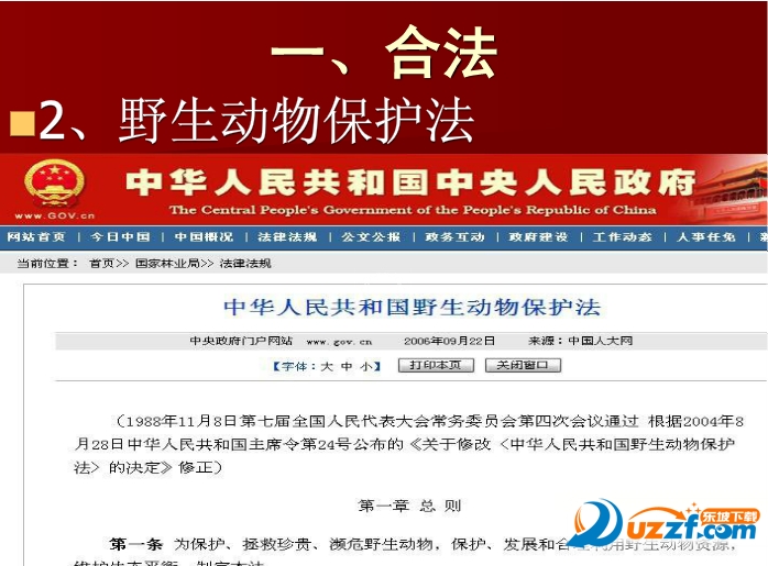 快照6.png