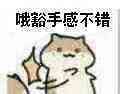 14627689753335248.jpg