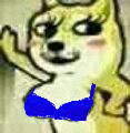 7280659bgw1f5ukwpashtj203903cjrc.jpg