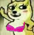 7280659bgw1f5ukwruzobj203903c3yh.jpg