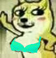 7280659bgw1f5ukwqjyyhj203903cq2w.jpg